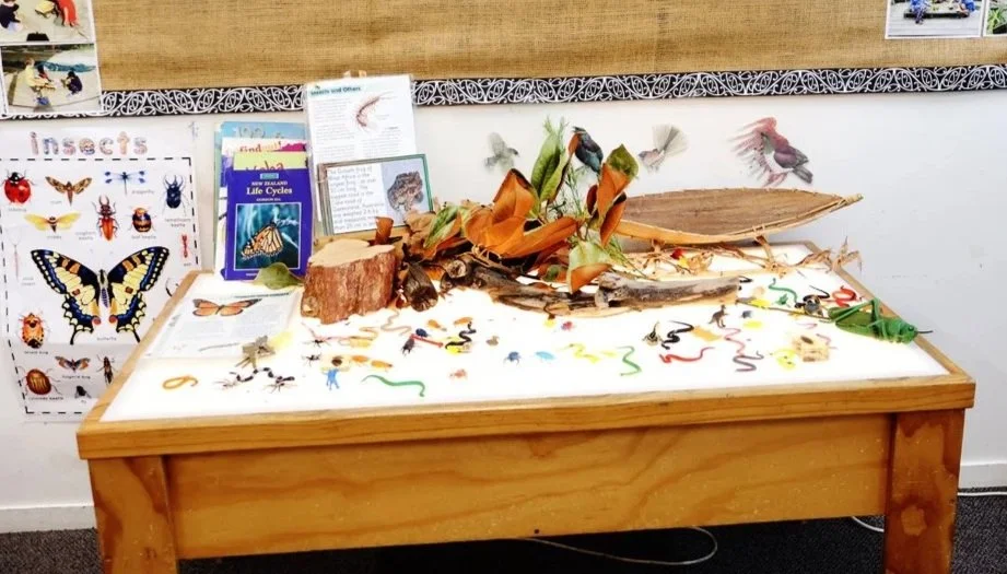 Natural wooden play resources arranged for open-ended exploration.